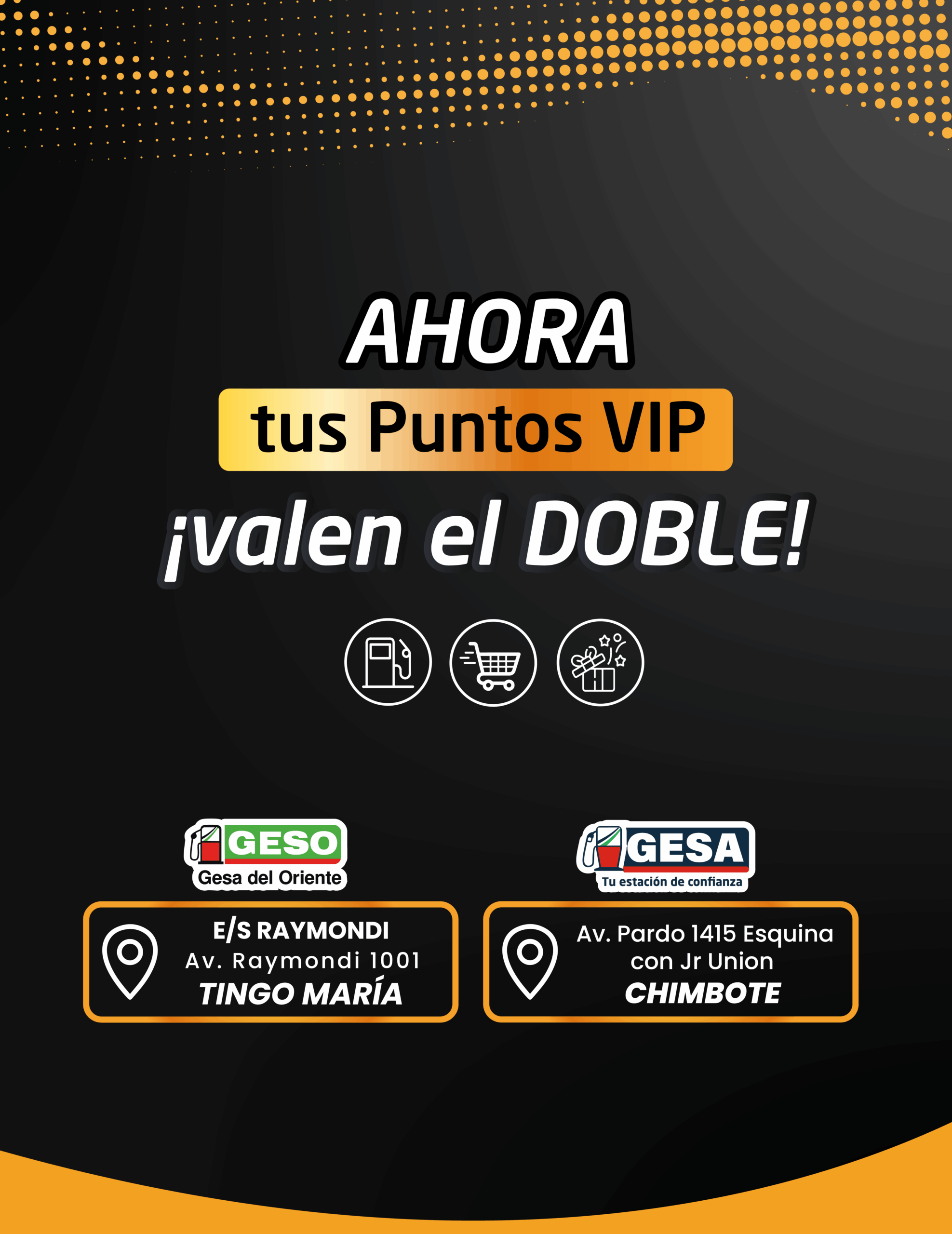 banner web puntos vip-03